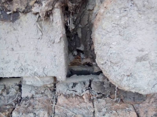 CATTERPILAR 320V2 ราคา 595,000 บาท เครื่องหลวม (กินน้ำมันเครื่องแล้ว). รถโหลด เพราะเครื่องหลวม ไฟฟ้าครบ (ขาดมอเตอร์คันเร่ง) โช่หนา เอวแน่น เอกสารอินวอยท์   รถอยู่ จ.สกลนคร