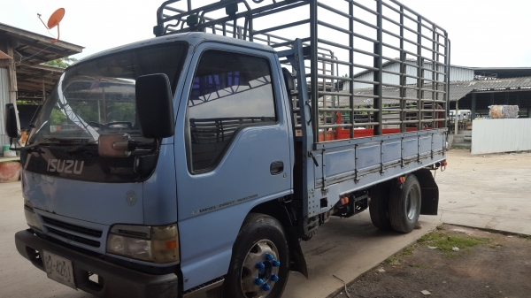 ขายNPR66Lหัวกาตูนรถห้างแท้ ยาว4.30 เมตรเครืื่อง150โบอินเตอร์ เบรคจิฟฟี่