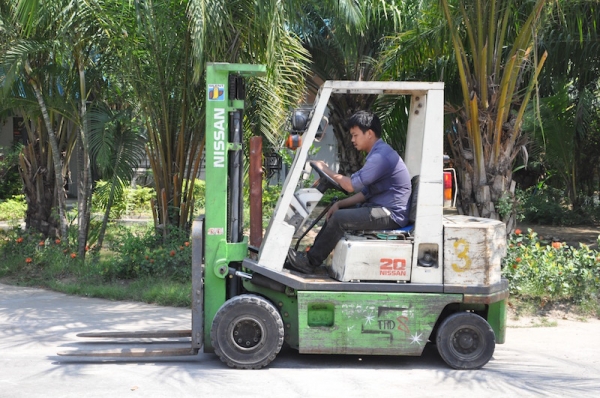 ขายFORKLIFT NISSAN FG20 สุดสวย(2ตัน) เสาฟรูฟรี้4.7เมตร สวยเดิมจากญี่ปุ่น ยังไม่เคยใช้ในไทย 145,000เท่านั้น!!