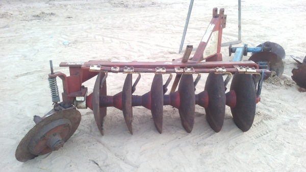 ขายฟาง6ใบ24cmt