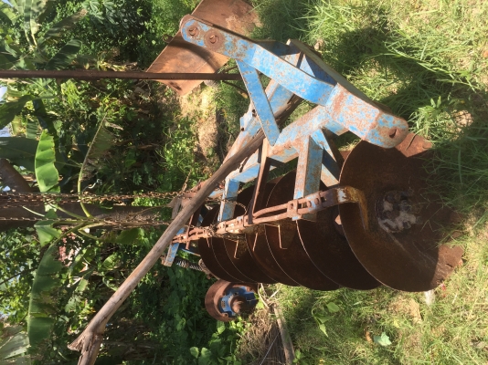 ขายผานพรวน ศรีกำแพงแสนจาน7ใบ 26