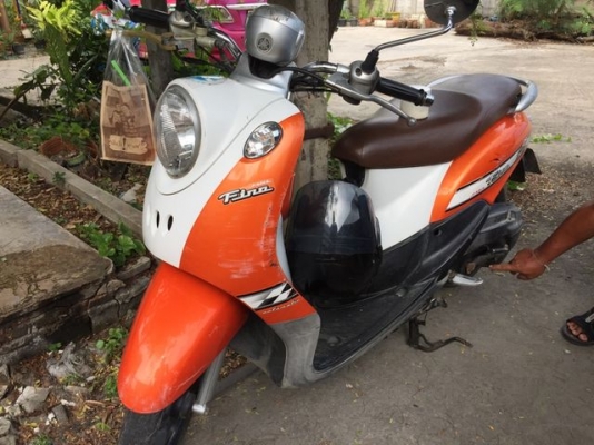 fino ปี51
