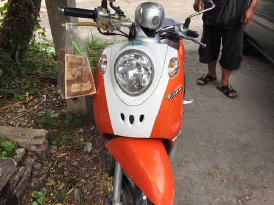 fino ปี51