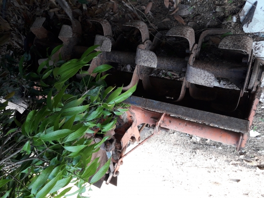 โรตารี่