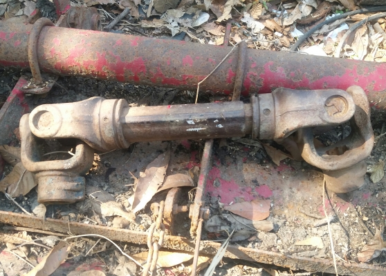 โรตาลี่สยาม พร้อมยอยครับ