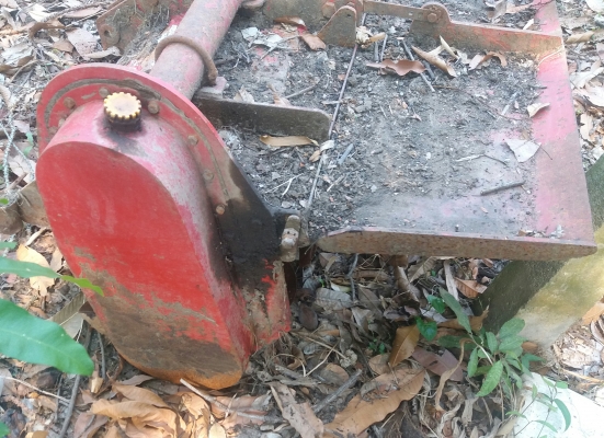 โรตาลี่สยาม พร้อมยอยครับ