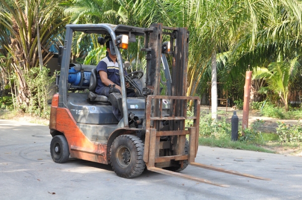 ขายFORKLIFT TOTOTA รุ่น8FG15รุ่นใหม่ล่าสุด เสา3เมตร(1.5ตัน) สวยเดิมจากญี่ปุ่น ยังไม่เคยใช้ในไทย 175,000เท่านั้น!!