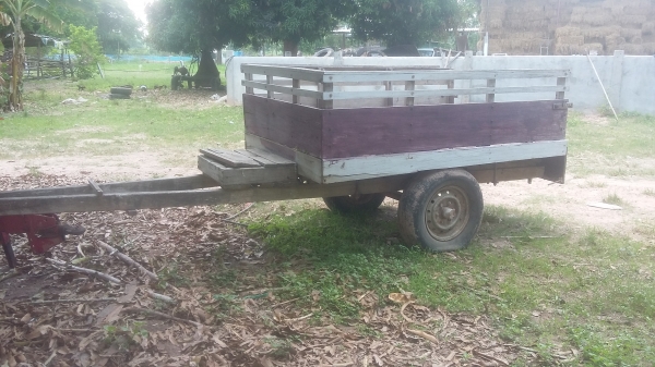 สาลี่รถไถเดินตาม