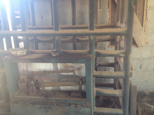 ขายด่วน กิโลชั่ง วัว   ขาย 35000