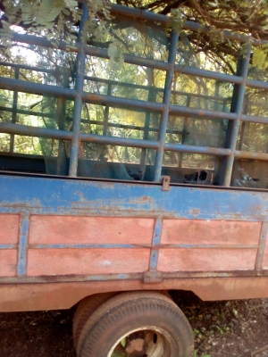 ขายเทเลอร์พ่วง ติดรถไถ   สภาพพร้อมใช้งาน  ราคา 45000 บาท   ต่อทีเบอร์ 098 668-3479 -094 283-9369 คุณ สิทธิ์