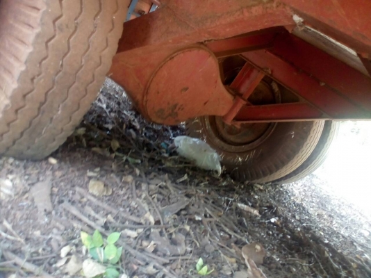 ขายเทเลอร์พ่วง ติดรถไถ   สภาพพร้อมใช้งาน  ราคา 45000 บาท   ต่อทีเบอร์ 098 668-3479 -094 283-9369 คุณ สิทธิ์