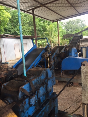 เครื่องจักรรีดยางเครป 1 ลายผลิต ลูกรีดเหล็กหล่อ 14 นิ้ว จำนวน 3 เครื่อง