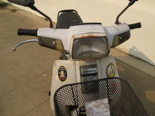 ดรีม คุรุสีขาว ทบ.เต็ม+พร้อมโอน