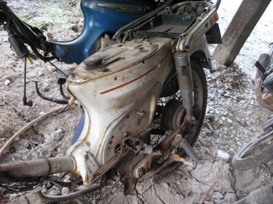 โครงคัสต้อม สีขาว เล่มทะเบียน โครงคัสต้อม สีขาว เล่มทะเบียน