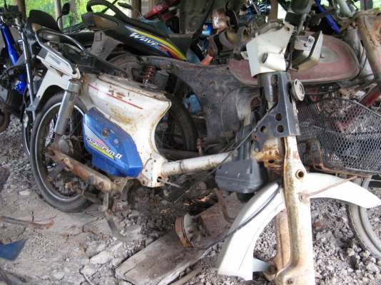 โครงคัสต้อม สีขาว เล่มทะเบียน โครงคัสต้อม สีขาว เล่มทะเบียน