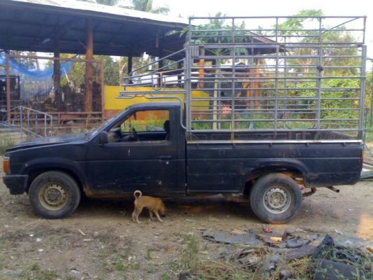 BIG-M ปี34 60000สนป่ะ