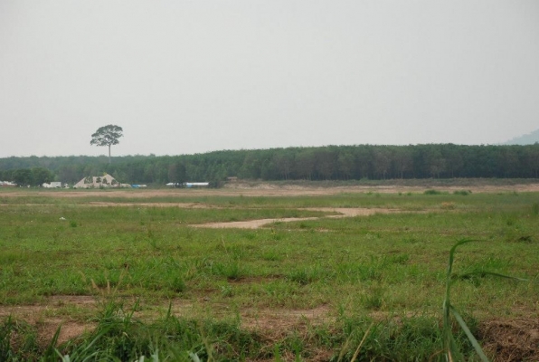 ขายที่ดิน