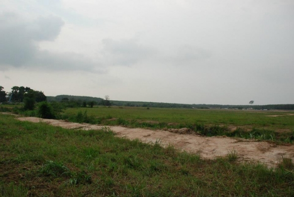 ขายที่ดิน