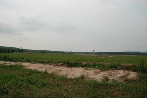 ขายที่ดิน