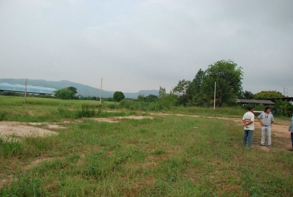 ขายที่ดิน