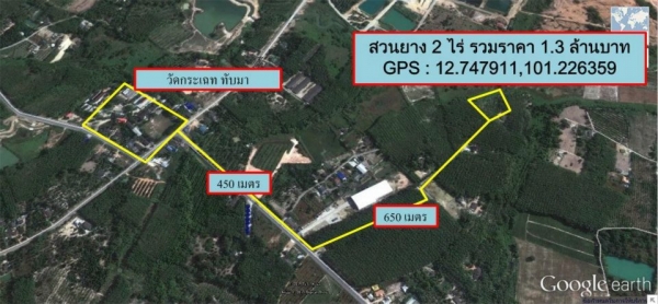 สวนยาง 5ปี 2 ไร่