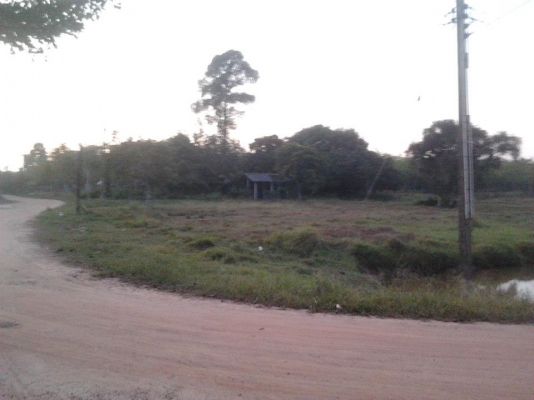 ที่ดินเปล่า หนองหว้า 3.1 ไร่ ราคา 1.9 ล้านบาท