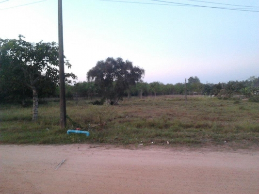 ที่ดินเปล่า หนองหว้า 3.1 ไร่ ราคา 1.9 ล้านบาท