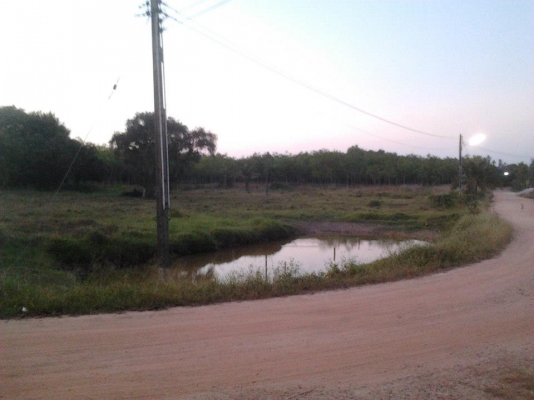 ที่ดินเปล่า หนองหว้า 3.1 ไร่ ราคา 1.9 ล้านบาท