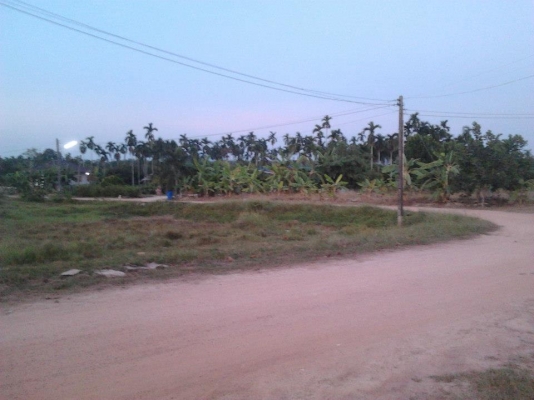 ที่ดินเปล่า หนองหว้า 3.1 ไร่ ราคา 1.9 ล้านบาท