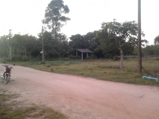 ที่ดินเปล่า หนองหว้า 3.1 ไร่ ราคา 1.9 ล้านบาท