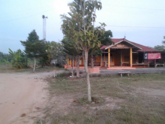 ที่ดินเปล่า หนองหว้า 3.1 ไร่ ราคา 1.9 ล้านบาท