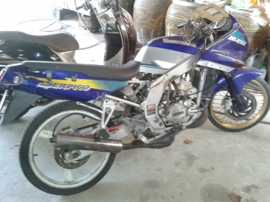 ขายคาวาserpico