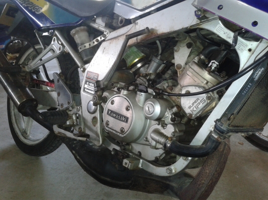 ขายคาวาserpico