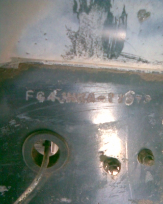 สมอเงิน ห้างแท้ๆ ยาว 5 เมตร