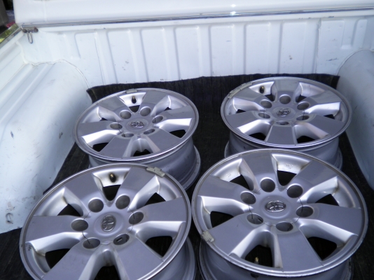 แม็กวีโก้ พรีรันเนอร์