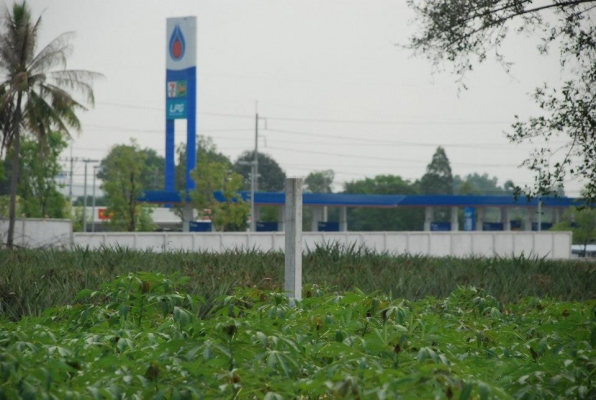 ที่ดินเหมาะทำโรงงาน 94 ไร่ ๆละ 1.2 ล้านบาท