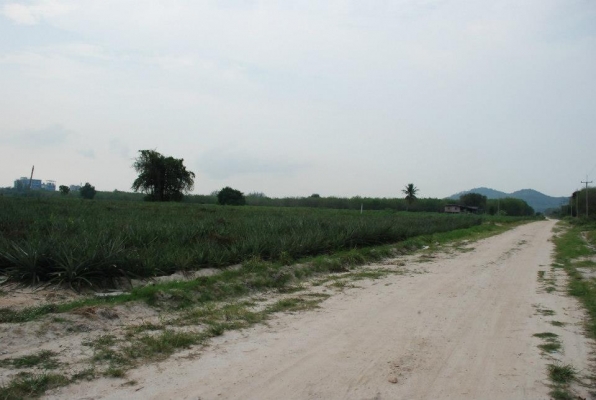 ที่ดินเหมาะทำโรงงาน 94 ไร่ ๆละ 1.2 ล้านบาท