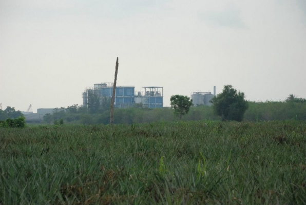 ที่ดินเหมาะทำโรงงาน 94 ไร่ ๆละ 1.2 ล้านบาท