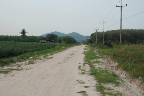 ที่ดินเหมาะทำโรงงาน 94 ไร่ ๆละ 1.2 ล้านบาท