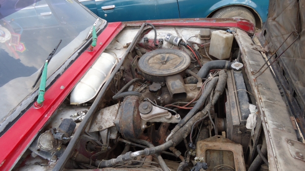 เฟียส ครับ เฟียส ครับ