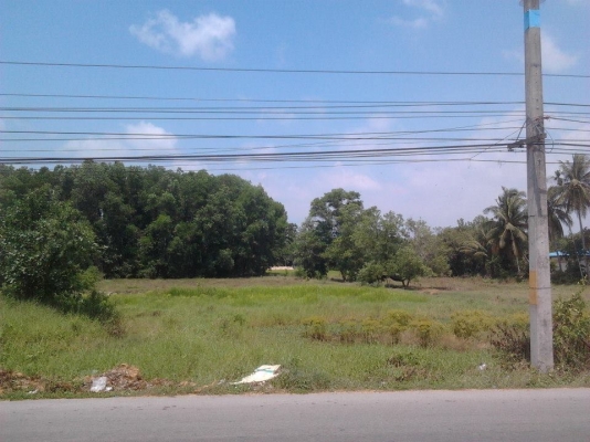 ที่ดินเหมาะทำอาคารพาณิชย์หรือปั้มน้ำมัน หน้ากว้าง 55 เมตร  จ.ระยอง