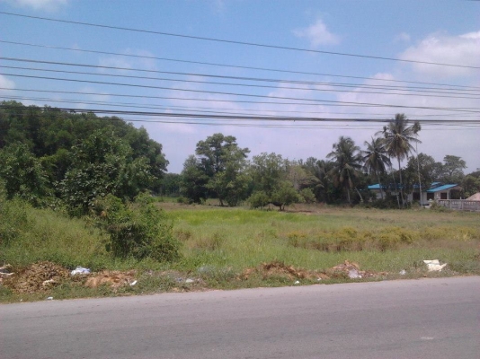 ที่ดินเหมาะทำอาคารพาณิชย์หรือปั้มน้ำมัน หน้ากว้าง 55 เมตร  จ.ระยอง