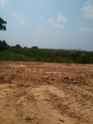 ขอขายนอกเรื่องครับ ที่ดิน10ไร่ ติดศูนย์กระจายสินค้าลาดกระบังเหมาะสำหรับสร้างโกดังเก็บสิ้นค้าครับ ใกล้สนามบินสุวรรณภูมิ