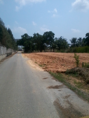 ขอขายนอกเรื่องครับ ที่ดิน10ไร่ ติดศูนย์กระจายสินค้าลาดกระบังเหมาะสำหรับสร้างโกดังเก็บสิ้นค้าครับ ใกล้สนามบินสุวรรณภูมิ