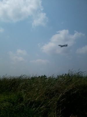 ขอขายนอกเรื่องครับ ที่ดิน10ไร่ ติดศูนย์กระจายสินค้าลาดกระบังเหมาะสำหรับสร้างโกดังเก็บสิ้นค้าครับ ใกล้สนามบินสุวรรณภูมิ