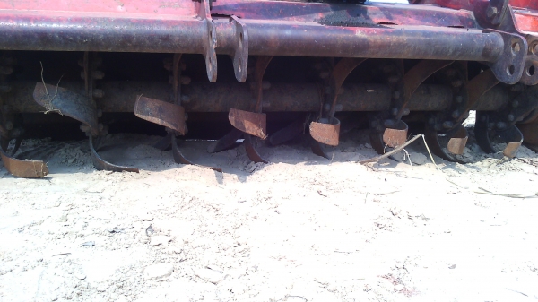 ขายโรตาลี่ 1.62 ตราช้าง ขายโรตาลี่ 1.62 ตราช้าง