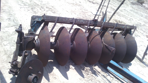 ขายหาง7 ใบ26นิ้วราคา16000