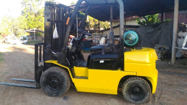 โฟล์คลิฟสวยๆ ราคาเบาๆ