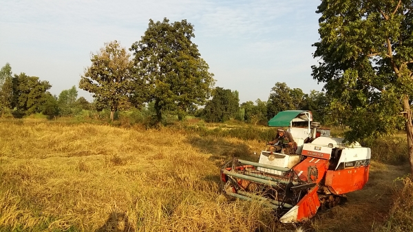 รถเกี่ยว มือสองสภาพดี