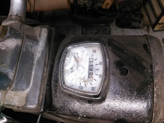 โครงเข็นหมู 5000 รับเอง มหาชัย สมุทรสาคร โครงเข็นหมู 5000 รับเอง มหาชัย สมุทรสาคร